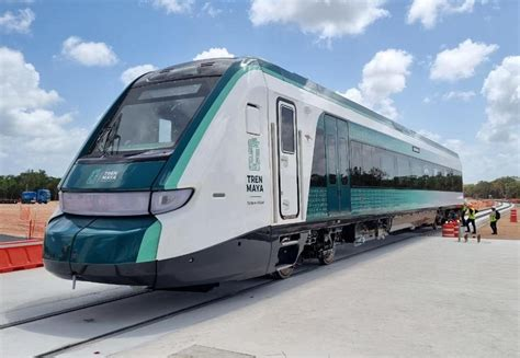 Tren Maya un horror ambiental