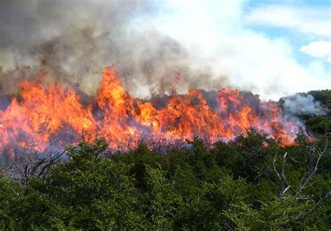 Incendios en Sao Paulo