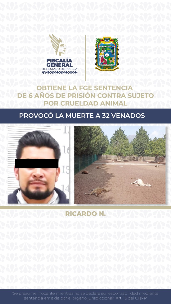 Hombre condenado a 6 años de prisión por matar a 32 venados