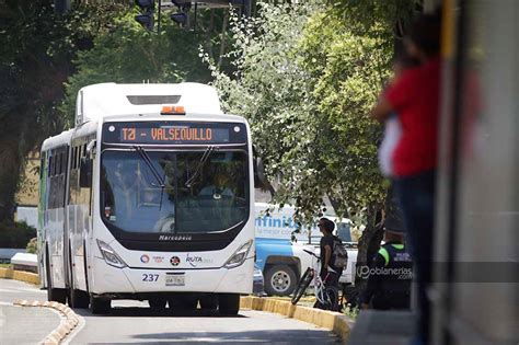 Todo sobre si pueden llevar mascotas en RUTA Puebla
