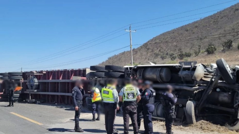 Volcadura de tráiler en la carretera Tehuacán-Orizaba deja decenas de gallinas esparcidas en la vía
