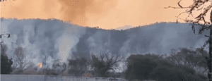 Aparatoso incendio en el recinto ferial de Acatlán de Osorio moviliza a las autoridades