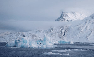 Descubren un ecosistema oculto bajo un iceberg en la Antártida tras su desprendimiento