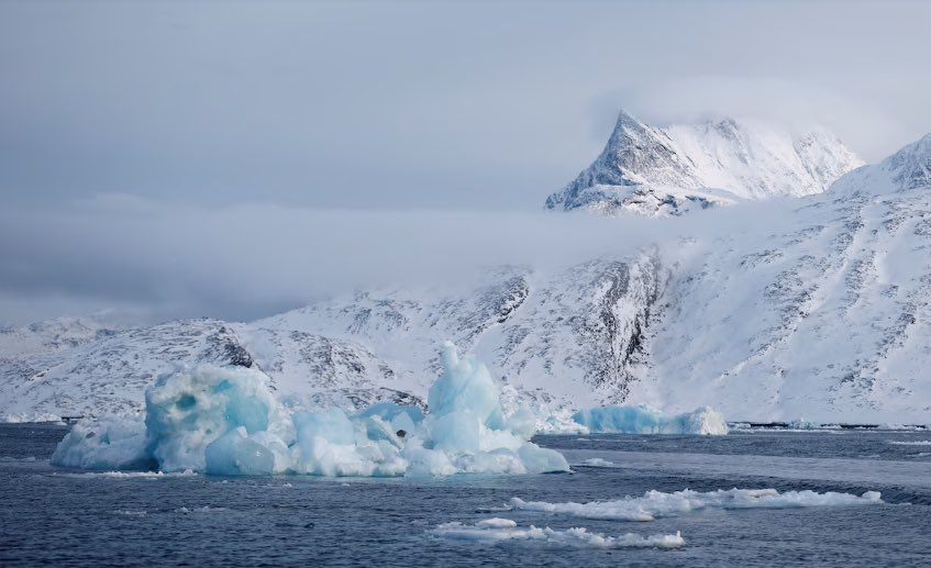 Descubren un ecosistema oculto bajo un iceberg en la Antártida tras su desprendimiento