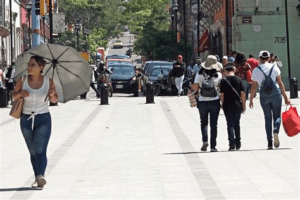 Canícula 2025 en México: Estados afectados