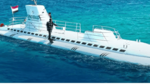 Accidente de submarino turístico en el Mar Rojo