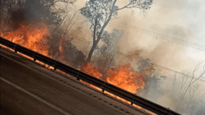 Incendio en la autopista México-Puebla genera alarma cerca de la caseta San Marcos