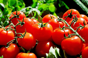 EE. UU. aplicará arancel de 20.91% a tomates mexicanos tras cancelar acuerdo comercial