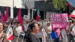 Protestan en el Senado contra posible censura en redes sociales