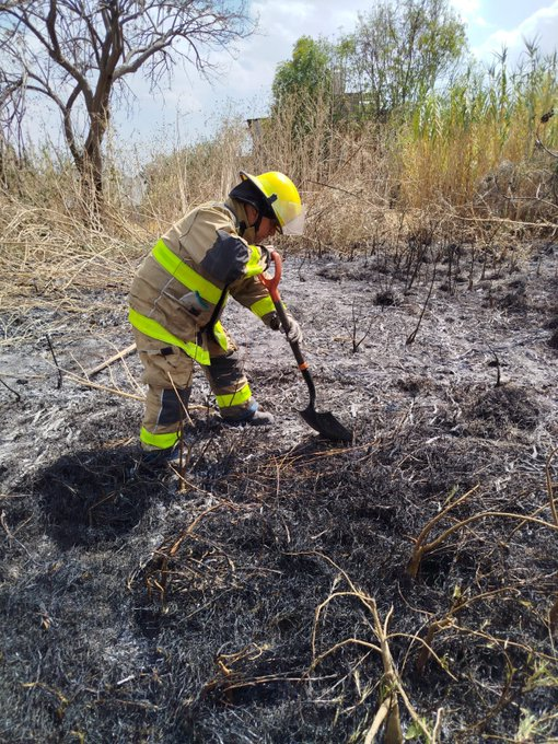 Incendio en la colonia Romero Vargas de Puebla hoy 10 de abril de 2025: autoridades atienden emergencia