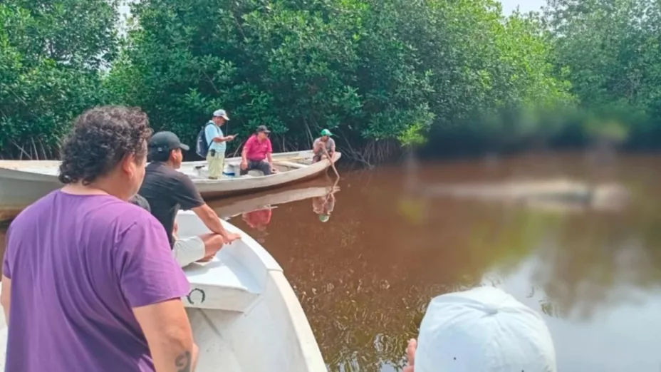Cocodrilo ataca a turistas en laguna de Oaxaca