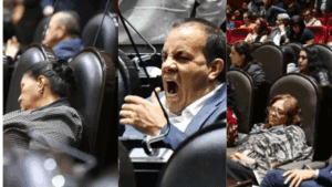Senadora Anabell Ávalos propone sanciones a legisladores